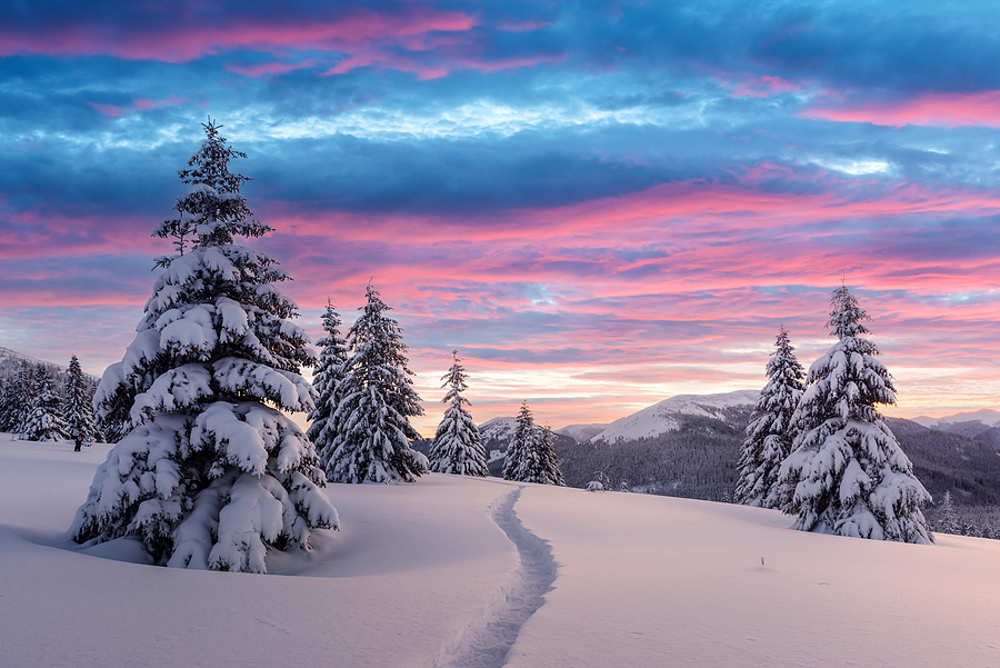 Bright New Year Ahead